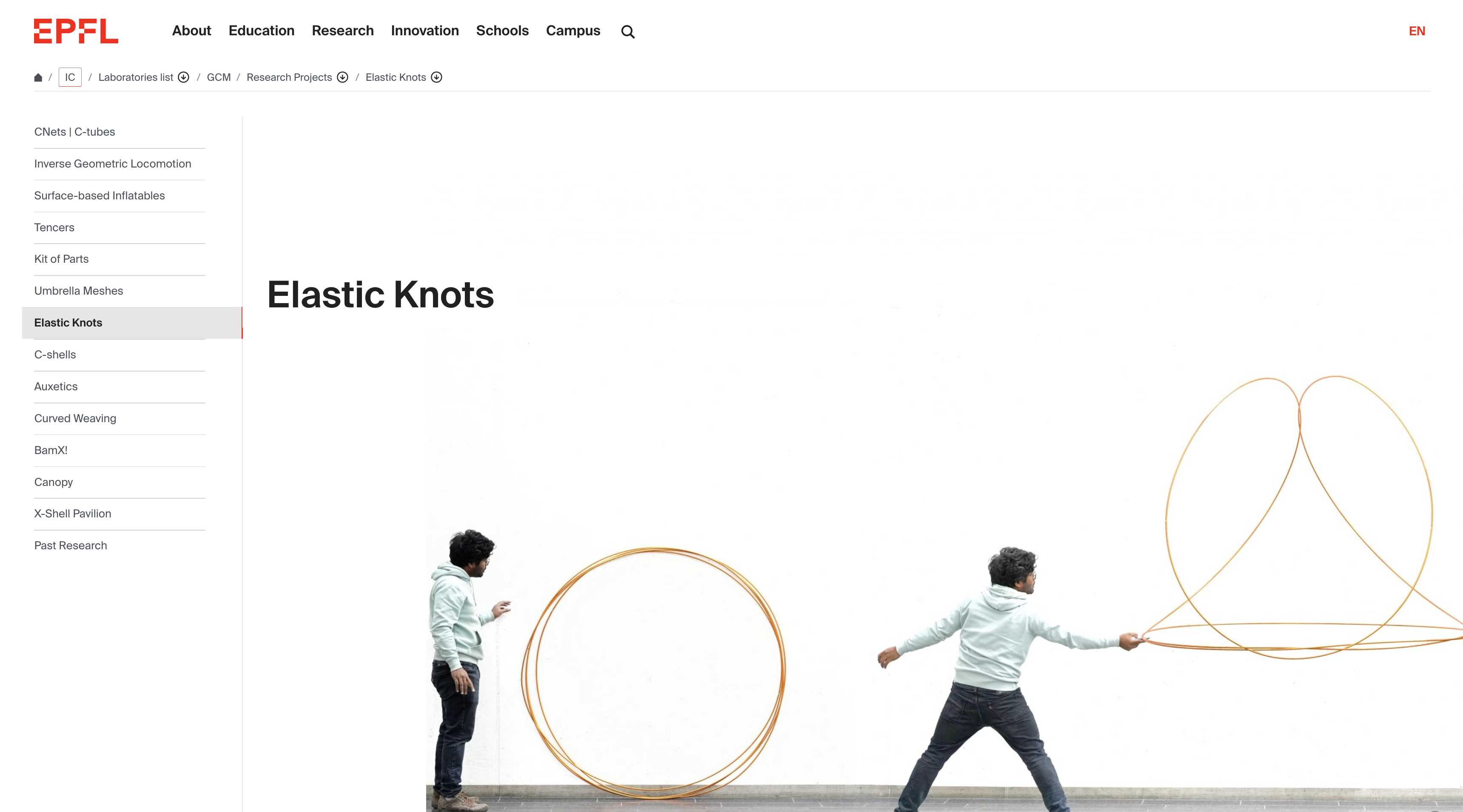 Screenshot of Knots project page